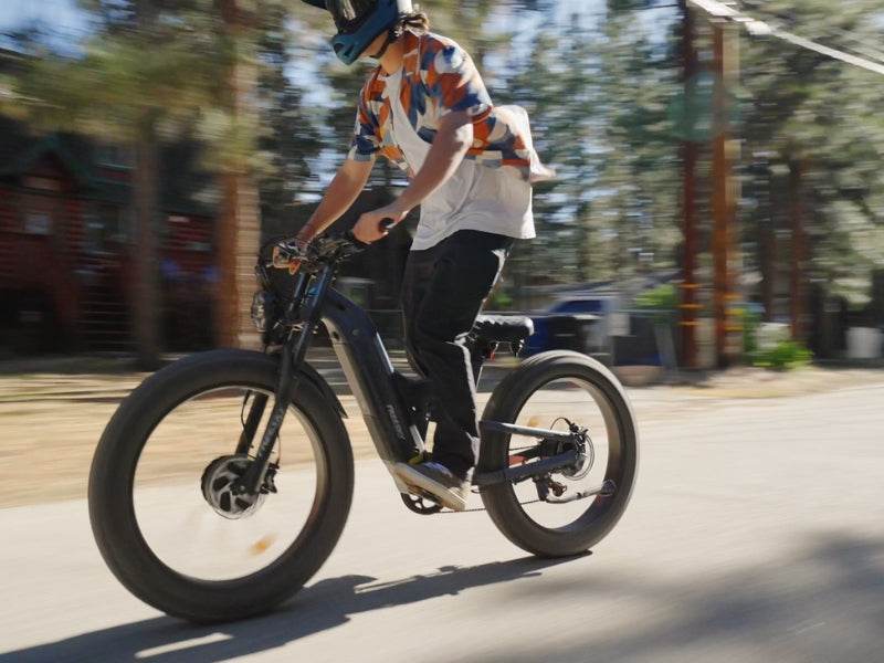 (Pre-order) Warrior Pro M-530 - FREESKY eBike UK