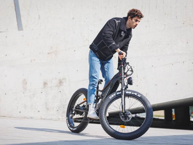 (Pre-order) Swift Horse Pro X-6E