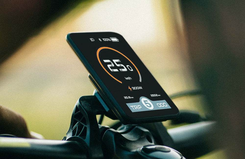 Color Display - FREESKY eBike UK