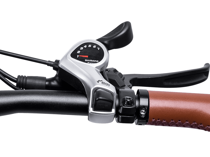 Shifter - Freeskycycle eBike